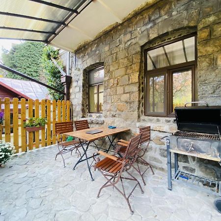 Apartment Carol Private Yard With Barbeque And Parking Sinaia Extérieur photo
