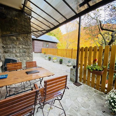 Apartment Carol Private Yard With Barbeque And Parking Sinaia Extérieur photo