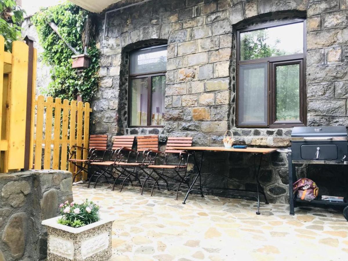 Apartment Carol Private Yard With Barbeque And Parking Sinaia Extérieur photo
