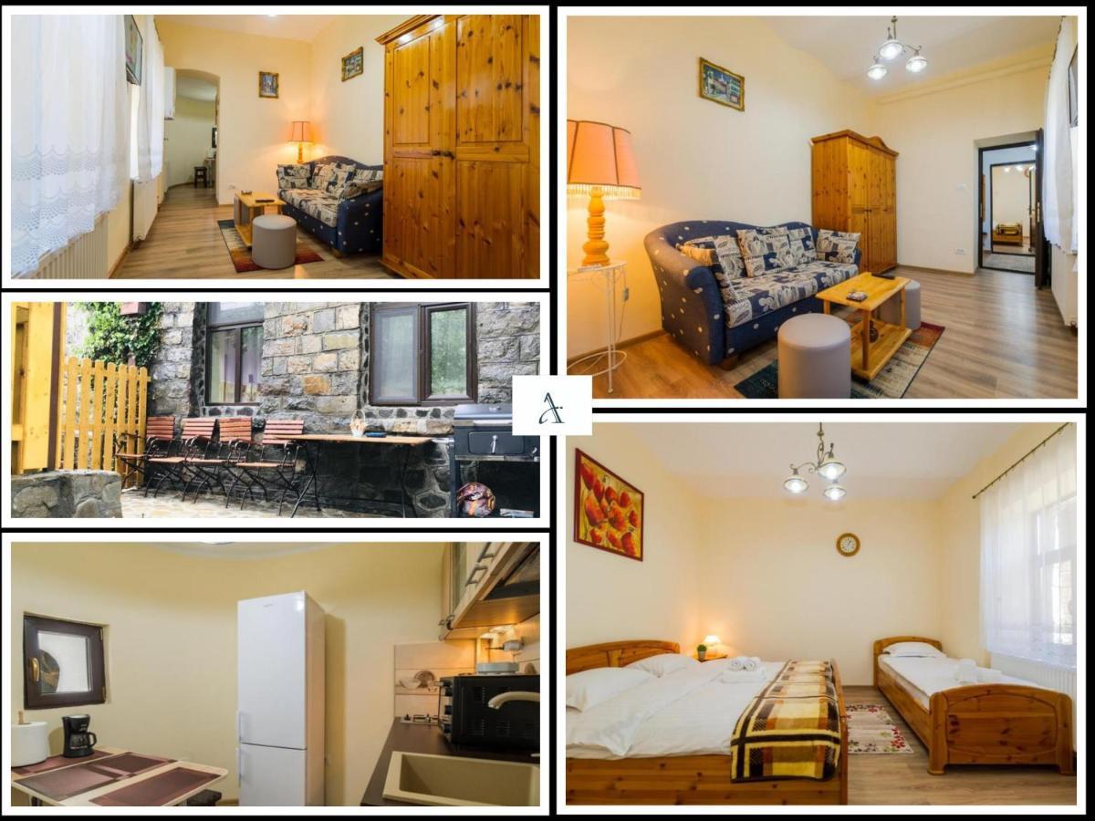 Apartment Carol Private Yard With Barbeque And Parking Sinaia Extérieur photo