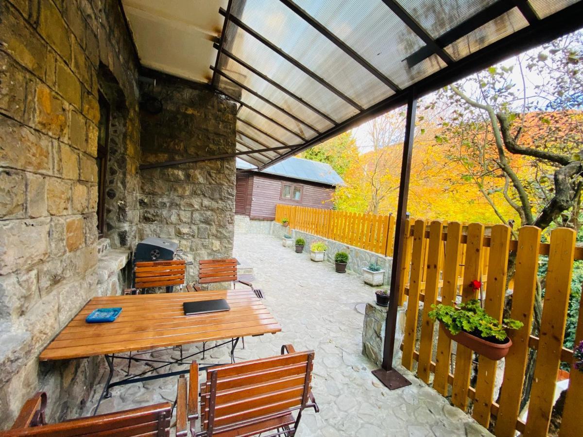 Apartment Carol Private Yard With Barbeque And Parking Sinaia Extérieur photo
