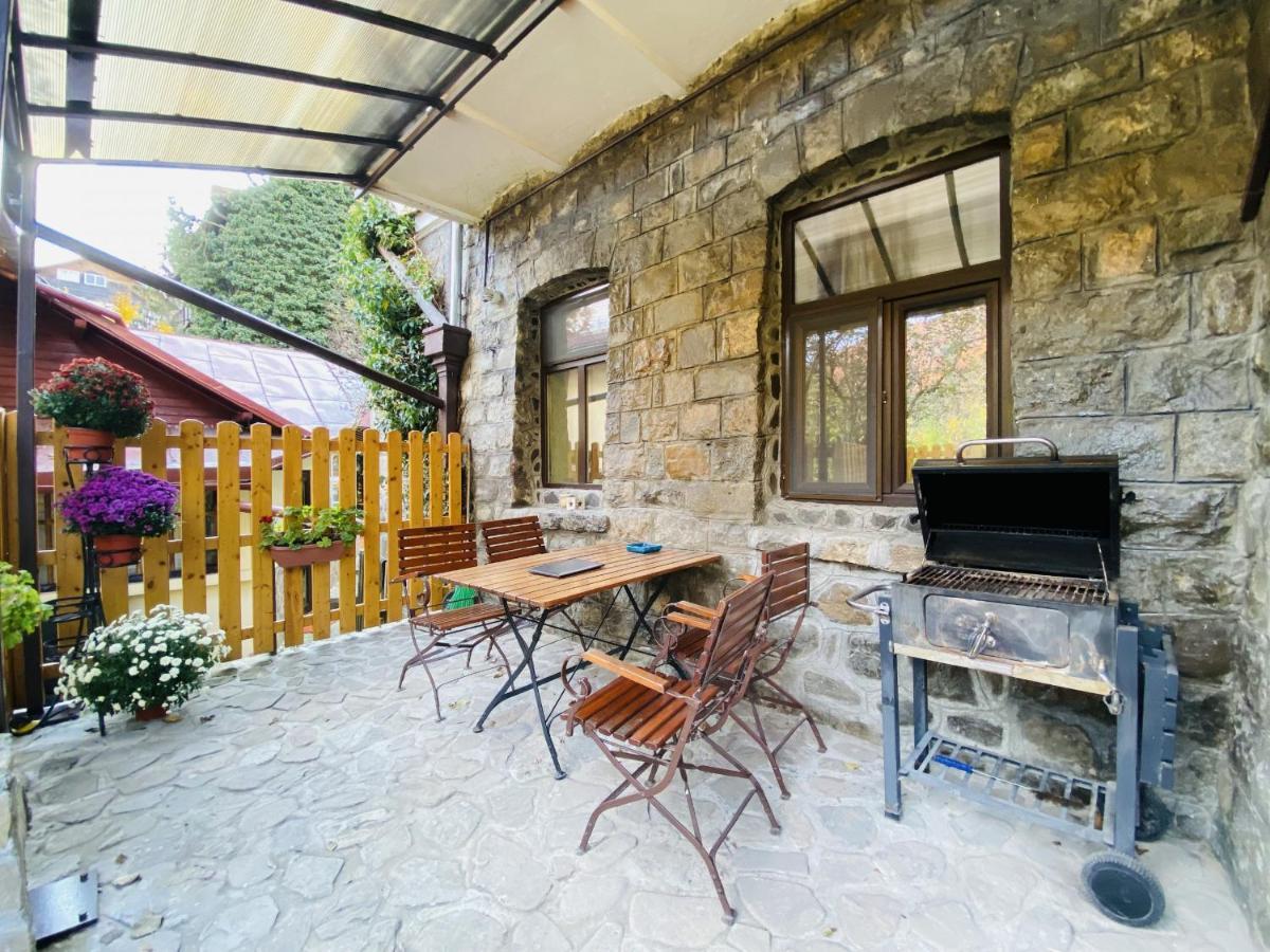 Apartment Carol Private Yard With Barbeque And Parking Sinaia Extérieur photo