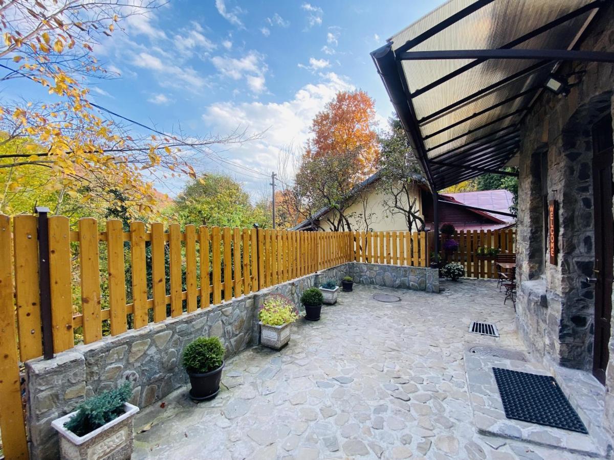 Apartment Carol Private Yard With Barbeque And Parking Sinaia Extérieur photo