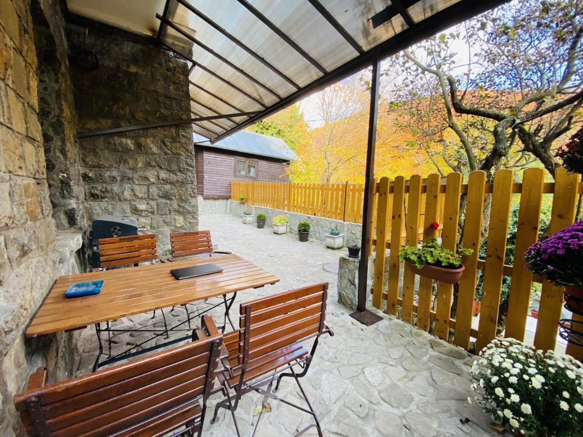 Apartment Carol Private Yard With Barbeque And Parking Sinaia Extérieur photo