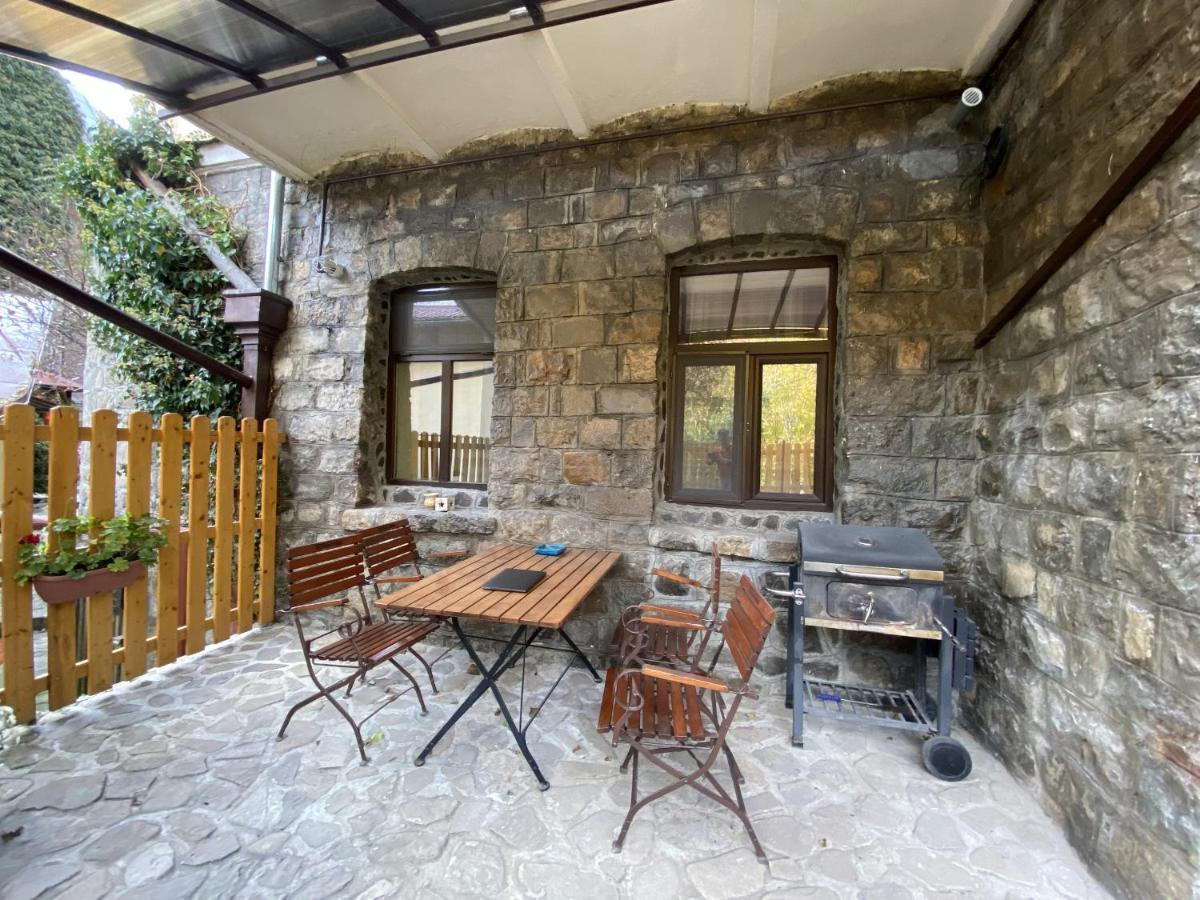 Apartment Carol Private Yard With Barbeque And Parking Sinaia Extérieur photo
