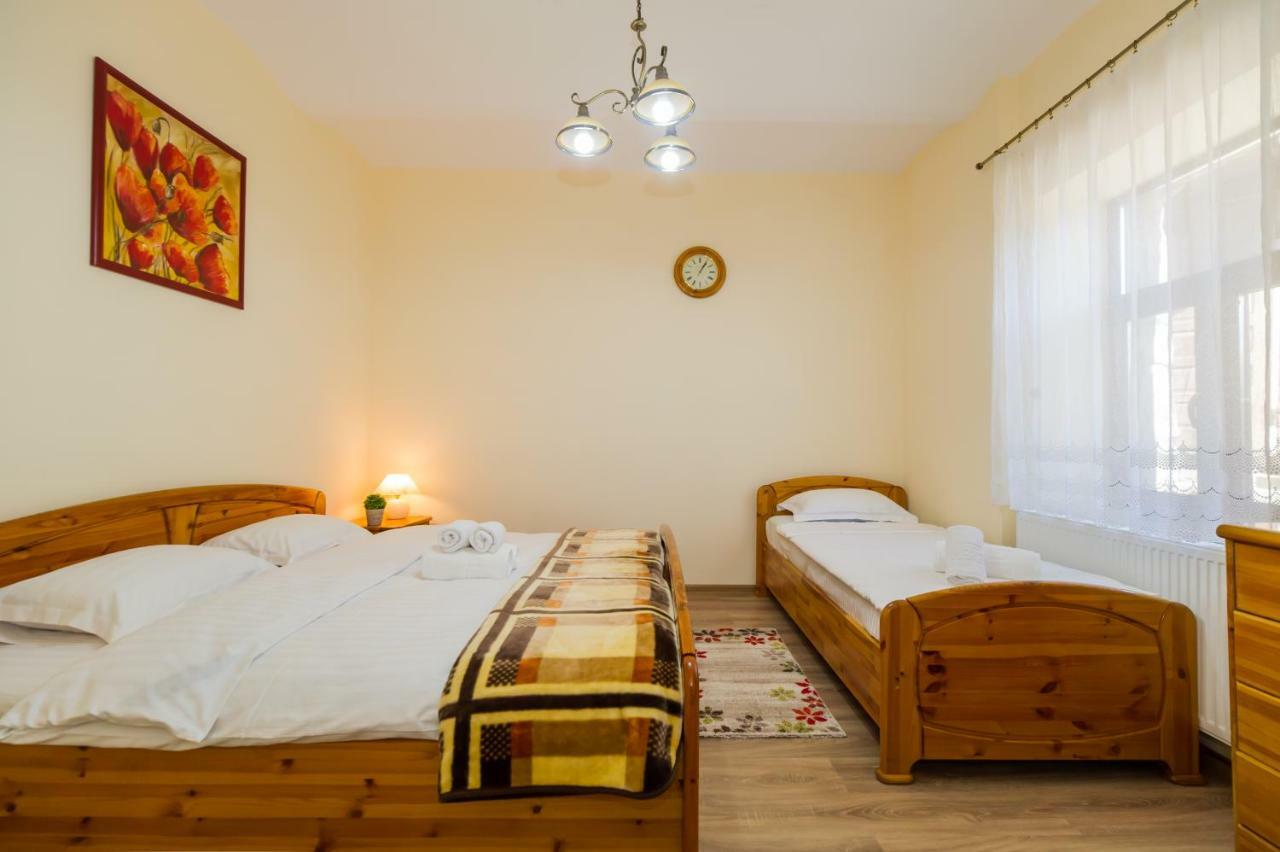 Apartment Carol Private Yard With Barbeque And Parking Sinaia Extérieur photo