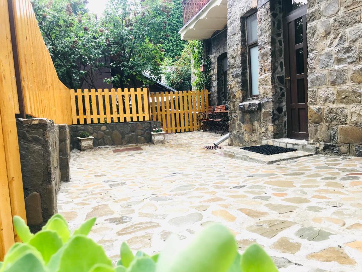 Apartment Carol Private Yard With Barbeque And Parking Sinaia Extérieur photo