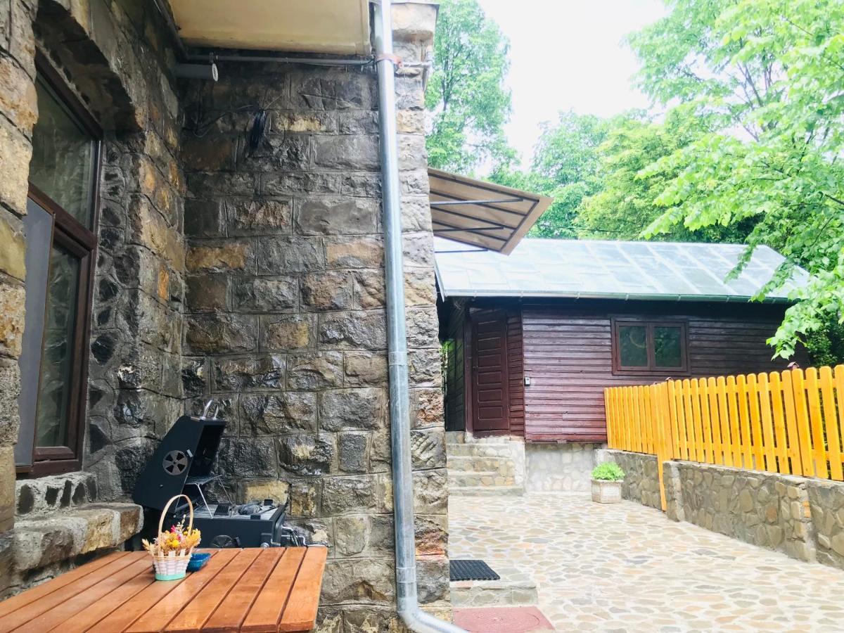 Apartment Carol Private Yard With Barbeque And Parking Sinaia Extérieur photo